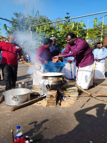 Thaipongal_Festival_2024